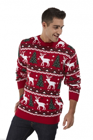 Pull de Noël Homme